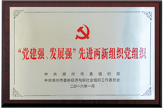 “黨建強(qiáng)、發(fā)展強(qiáng)”先進(jìn)兩新組織黨組織